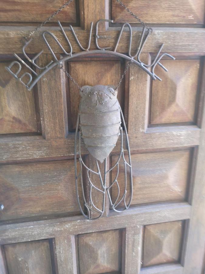 Chambre D'Hote "Avignon" Aramon Eksteriør bilde